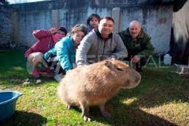 Para que aprendan los chetos: vecinos de un barrio "común" enfrentaron a Gendarmería para salvar al carpincho Pancho
