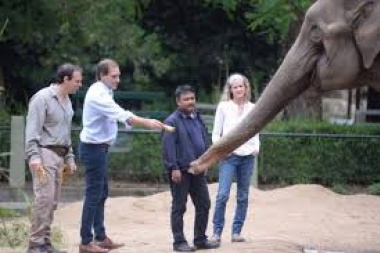 Garro pidió que no quemen un muñeco de la Elefanta Pelusa