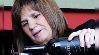 El Concejo de Ensenada repudió la visita de Pato Bullrich al Rotary de esa ciudad