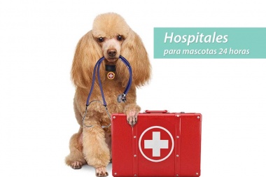 Guau y Miau Emergencias: proponen crear un hospital para mascotas