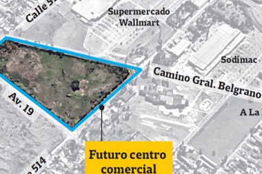 Arteaga desmintió que la obra del shopping se haya paralizado por temor a la vuelta del Pata Medina