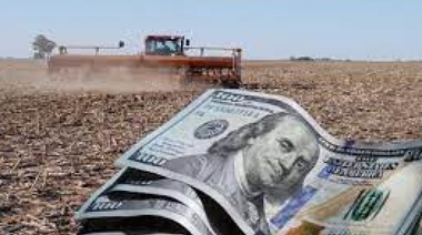 Subiendo la cuesta: la agroindustria alcanzó un récord de exportaciones y ya entran dólares de la soja