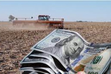 Subiendo la cuesta: la agroindustria alcanzó un récord de exportaciones y ya entran dólares de la soja