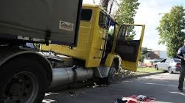 En la Pandemia, la Piratería Terrestre fue el delito que más creció, dijo Berni