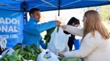 Una precandidata lavagnista pregunta: ¿Quién se queda con la recaudación de las bolsas de verdura?