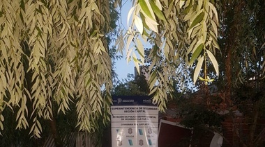 Con la Pelopincho, no: le robó la pile, se la armó en su patio pero lo descubrieron