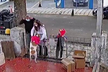 Le regalaron otro chaleco al perro que había despojado un delincuente