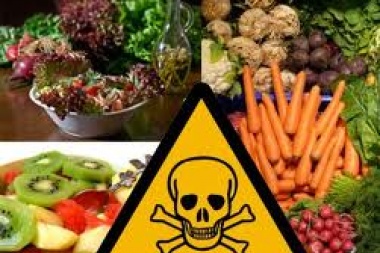 Grave: el 60% de los alimentos cultivados tiene alguna porquería química