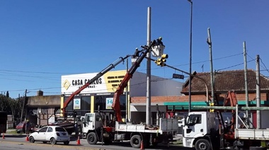 Hormigón por tronco de palmera: en La Plata sigue el cambio de columnas de alumbrado