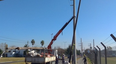 Que sople el viento nomás: sigue el recambio de columnas de la red eléctrica para reducir el impacto de los temporales