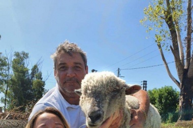Sufre una familia platense y ofrece recompensa: les robaron la oveja que es como de la familia