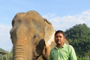 Sigue la novela de Pelusa: ahora le van a traer un "elefantólogo" de la India