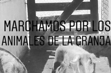 Denuncian hambruna y muerte en la Granja de la República de los Niños