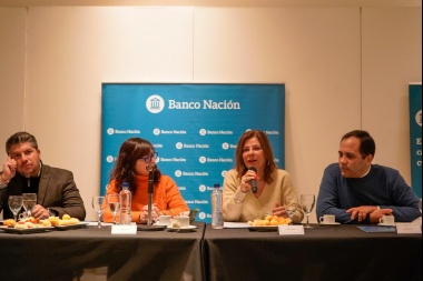 "La Plata es una ciudad productiva, pero le falta un plan", dijo Saintout en el Consejo Productivo PyME