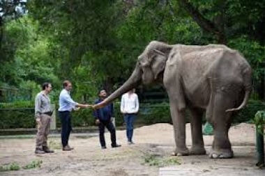 Desde el Zoo platense y por pantalla gigante se podrá ver a Pelusa retozando en el santuario brasileño