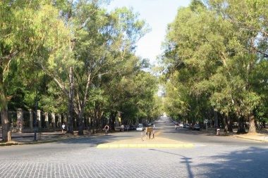 Concejales platenses impulsan que la avenida central del Bosque ya no sea Pereyra Iraola y se llame "Madres y Abuelas de Plaza de Mayo"