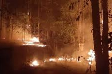 "Un camino de combustible": van detrás de usurpadores por el incendio en Parque Pereyra
