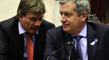 Reir para no llorar: el chofer del presidente de la Cámara de Diputados repartía drogas con el auto oficial