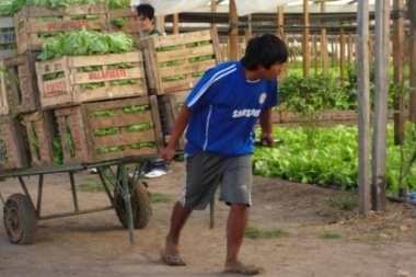 Una trama de crueldad y esclavitud detrás del Cinturón Frutihortícola con el que se llena la boca la política platense