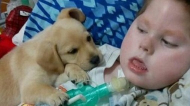 Dale, IOMA ponete las pilas: Santino necesita una computadora para una vida más digna