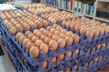 Estamos fritos: en La Plata apareció la mafia del huevo en plena cuarentena