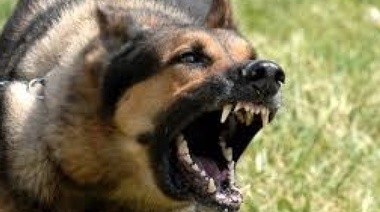Maltrataba a su perro para "educarlo", el animal se cansó y lo mató a mordiscones