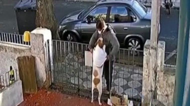 Si estará brava la cosa: le robaron el chaleco de abrigo a un perro