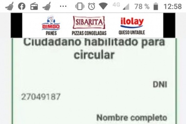 La ex de Maradona circulaba con un permiso trucho y desató un escandalete político