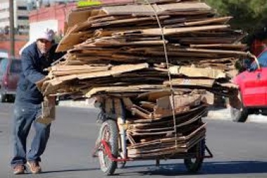 El negocio de la  basura en La Plata: advierten que el sistema de containers será ganancia para Esur y un castigo a los cartoneros