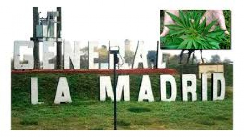 Autorizan al municipio de General La Madrid a plantar marihuana para uso medicinal
