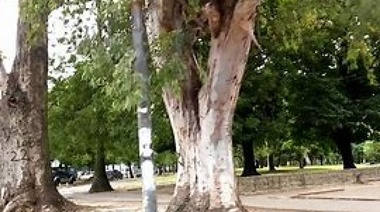La Zona Roja se muda atrás del Bosque, en 122 de 52 a 55