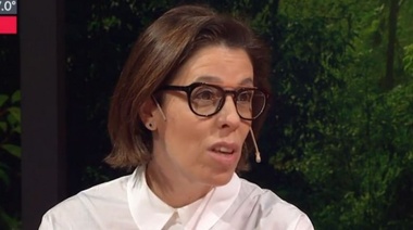 "De 600 partidos políticos, 450 son sellos de goma y algunos lavan plata"