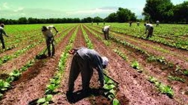 Si todos somos el campo estamos en la época de la esclavitud: el 83% de los trabajadores rurales están en negro