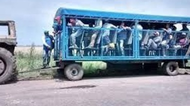 ¿Todos somos el campo?: liberan a 48 trabajadores que eran esclavizados en Santa Fé