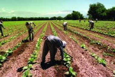 Si todos somos el campo estamos en la época de la esclavitud: el 83% de los trabajadores rurales están en negro