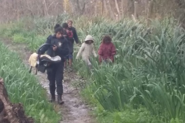 Ensenada: el municipio rescató a cinco hermanitos que habían sido abandonados en la selva marginal