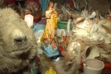 Horror en Los Hornos: aseguran que una secta umbanda tortura y sacrifica animales