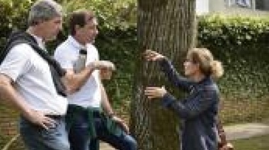 Panorama político platense: una campaña que transcurre en Modo Avión