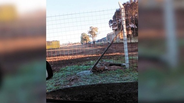 Un informe revela que estaría madurando un turbio negocio con terrenos del Hipódromo La Plata