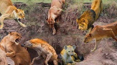 "Bienvenidos a la Ley de la Selva", el durísimo editorial de Víctor Hugo Morales sobre la "libertad" de precios que anuncia Milei