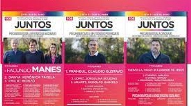 Renunció la precandidata que asesoraba a Kicillof y ahora sí, Manes vendría a La Plata