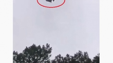 Ahora parece que en el aire, chancho y cordero "seigual"