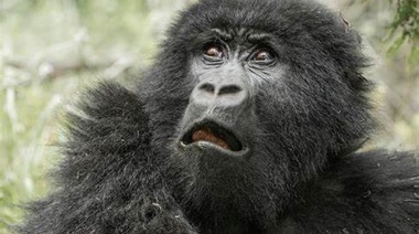 Nervios: Cristina dará otra clase magistral y hay alta expectativa por su mensaje