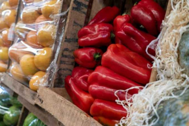 Informe FundPlata: la Canasta alimentaria en La Plata en junio tuvo una variación de 0,8% y el rubro verdulería desplazó al de carnicería