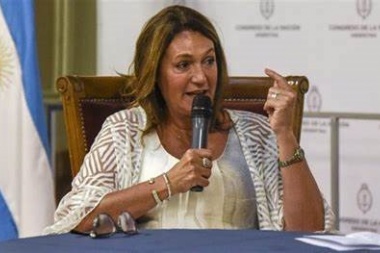 Diputada radical con peluca que impulsa Ficha Limpia tiene un marido flojito de papeles