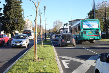 No se embotella más: la Municipalidad estableció la “onda verde” en diagonal 74 entre 122 y 1