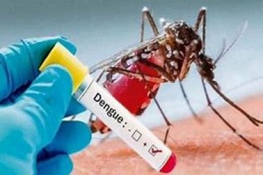 No moleste mosquito: recomendaciones del Municipio platene para prevenir el dengue