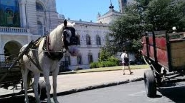 "A los cartoneros les ofrecí cambiarles los caballos por motos y me dijeron que no"