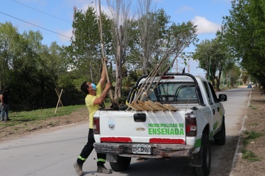 Le falta escribir el libro: plantaron otros 80 árboles en Ensenada y Secco lo anunció en las redes sociales