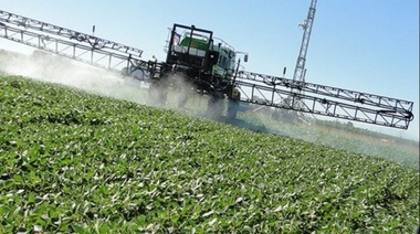 Cuidado: “Las verduras que comemos en La Plata nos están matando”, denunció el e concejal Oscar Vaudagna